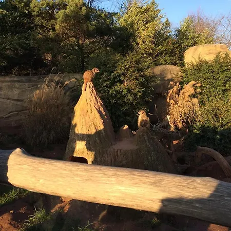 Le-citywohnung-i Apartment *