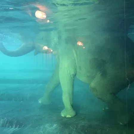 Apartment Le-citywohnung-i