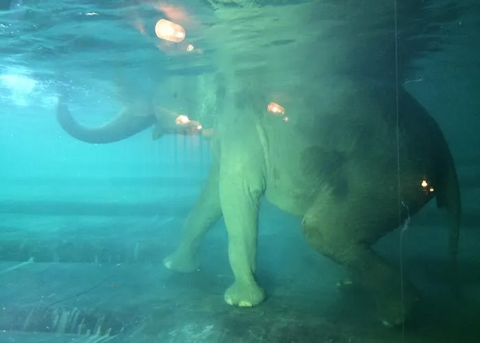 Apartamento Le-citywohnung-i